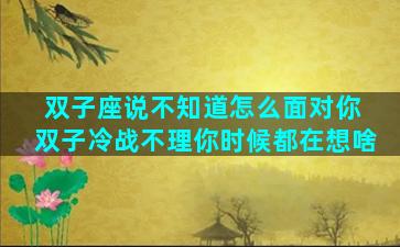 双子座说不知道怎么面对你 双子冷战不理你时候都在想啥